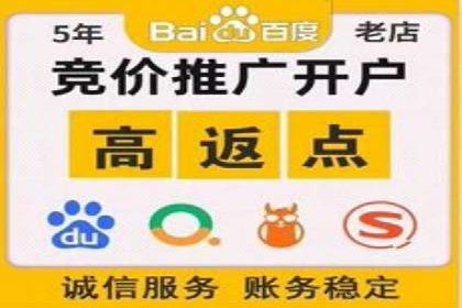 竞价排名的投放策略与效果评估案例